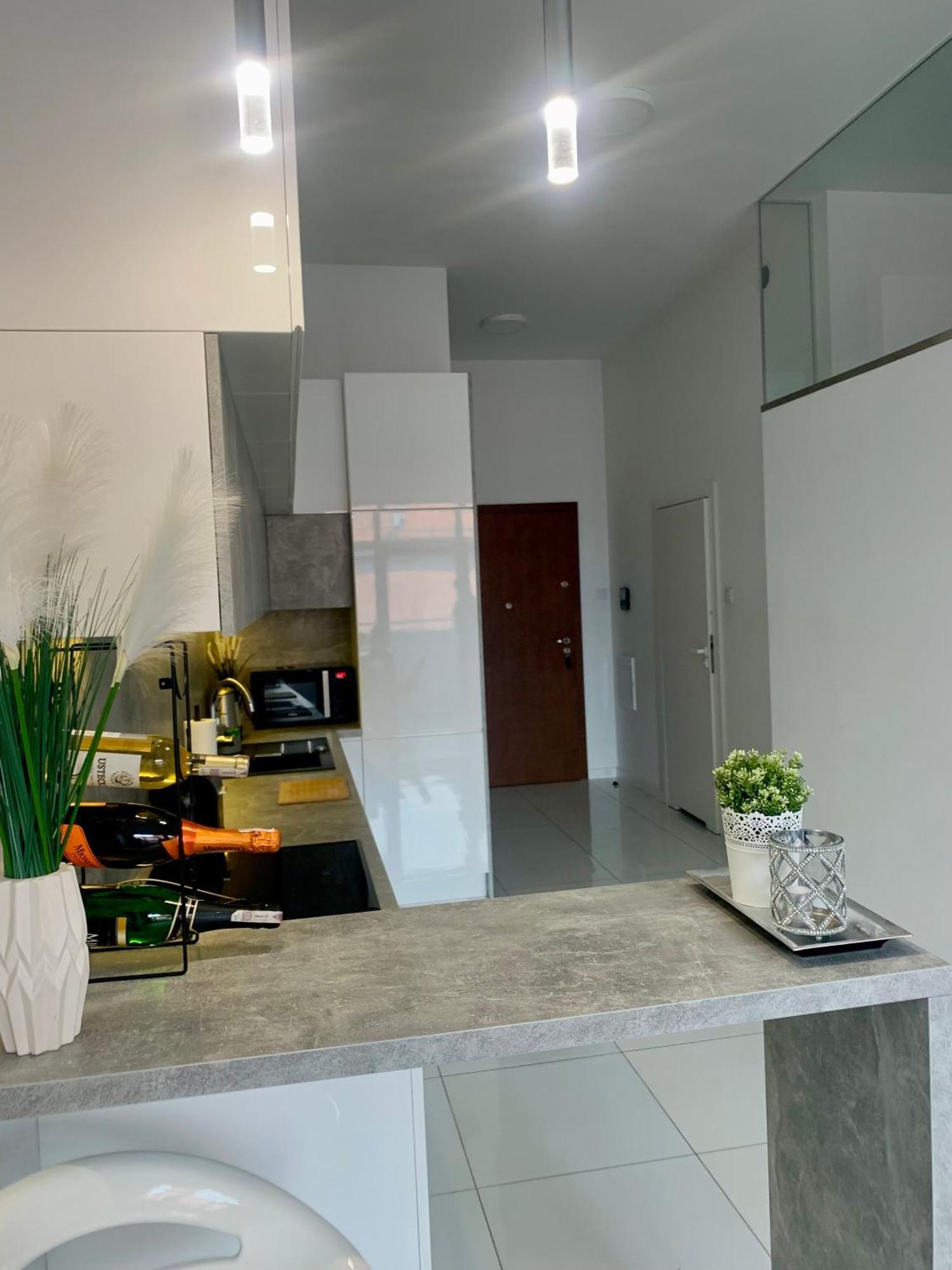 Ekskluzywny Loft Tymienieckiego Lejlighed Łódź Eksteriør billede
